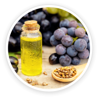 Grape Seed Extract